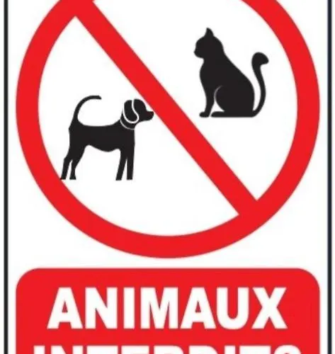 Apartmán Brin D'olivier 2 3 Lits